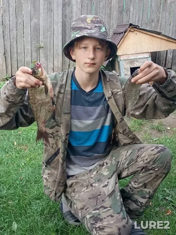 Лещ, Щука
