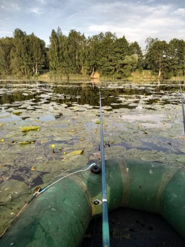 Карась