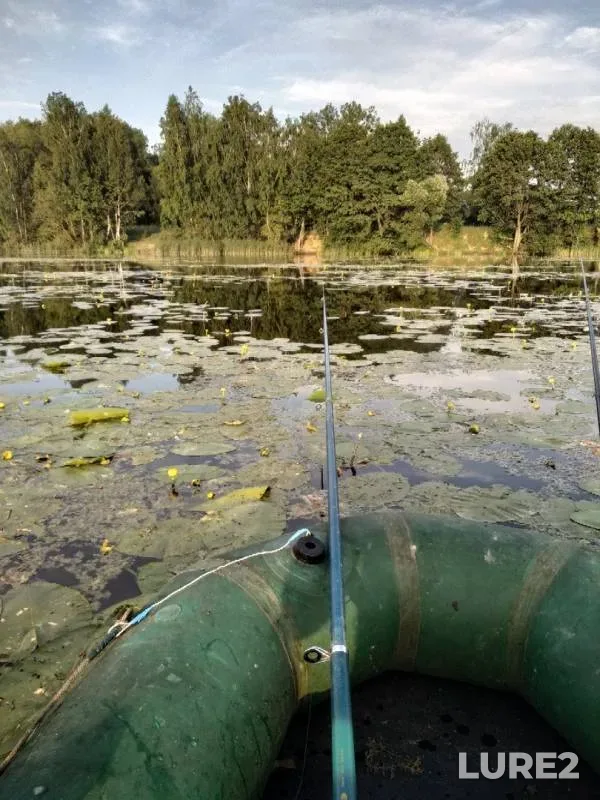 Карась