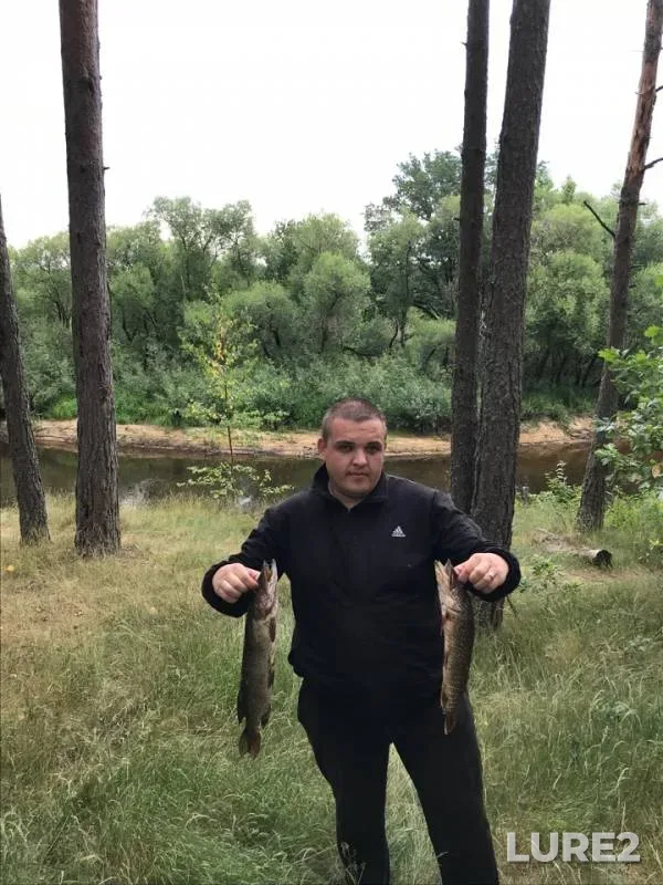 Щука — Птичь, 14 июн. 2018 г.