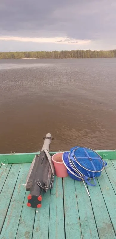 Лещ, Карась