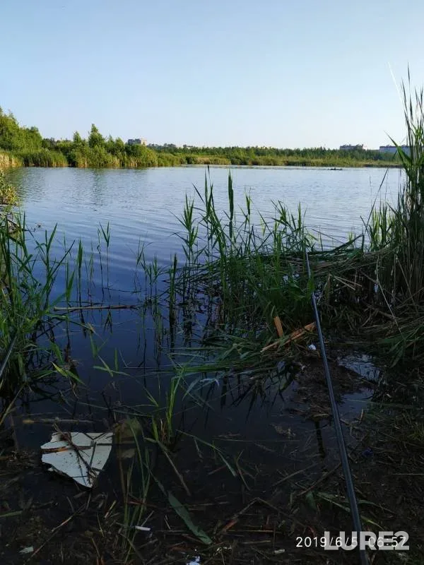 Карась