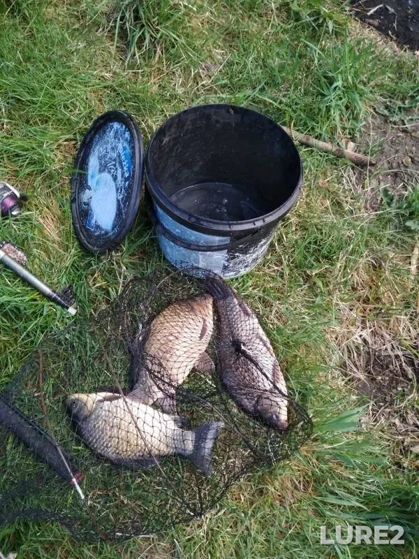 Карась — Лань, 09 мая 2019 г.
