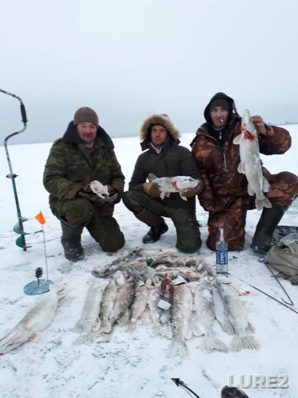 Щука — Локтыши, 02 дек. 2018 г.