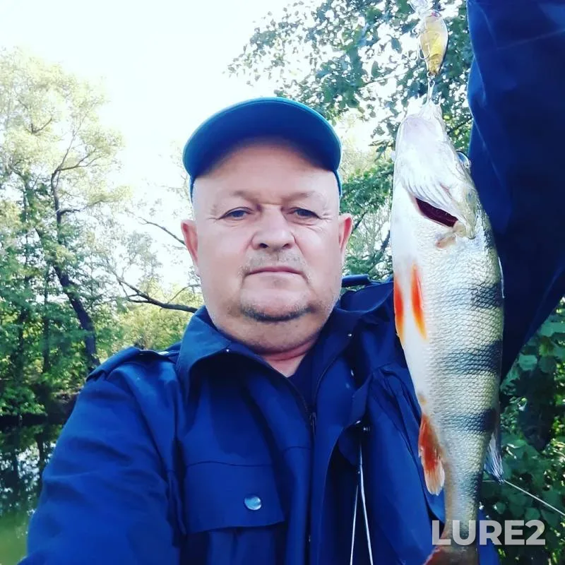 Окунь