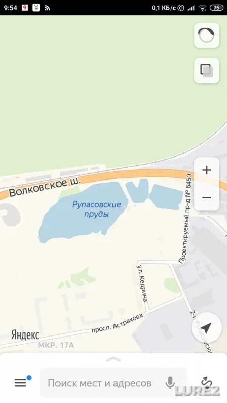 Карп, Сом
