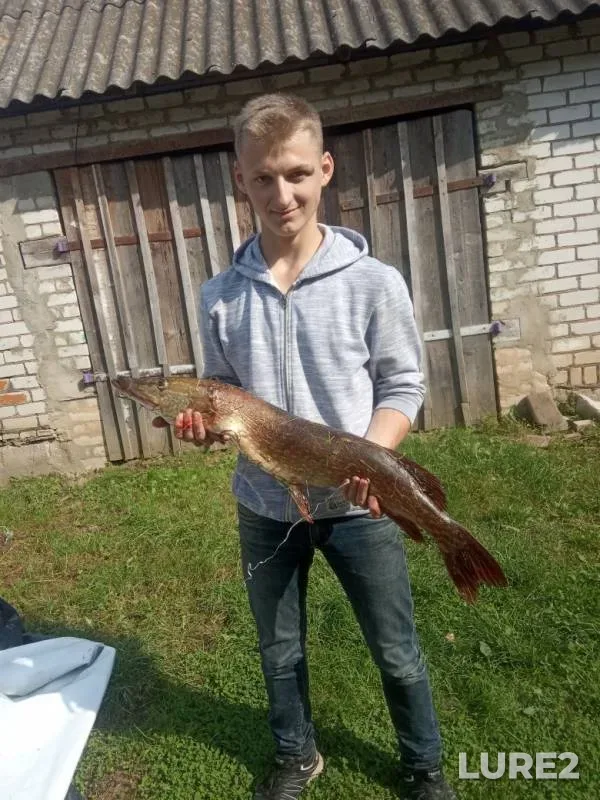 Окунь, Щука — Минская область, Слуцкий район, 10 сент. 2019 г.