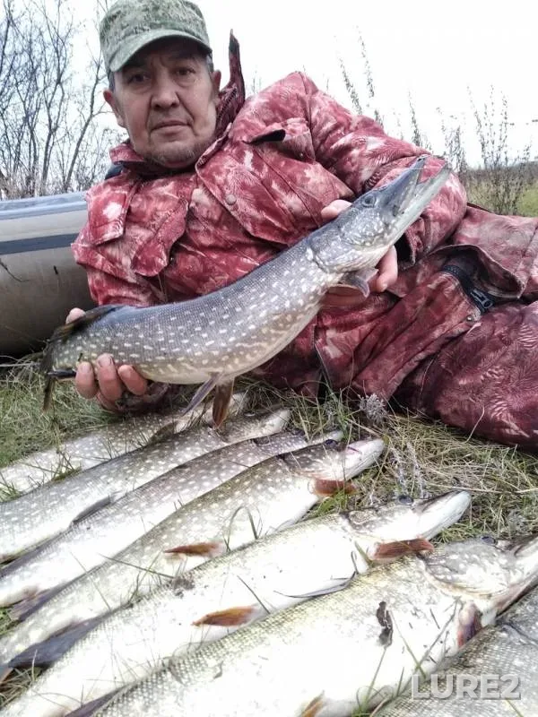 Щука — Малый Кинель, 08 нояб. 2019 г.