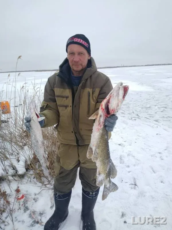 Щука — Северо-Казахстанская область, 23 нояб. 2019 г.