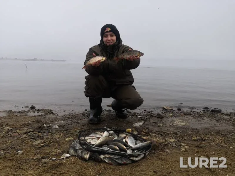 Лещ, Плотва — Десна, 17 мар. 2019 г.
