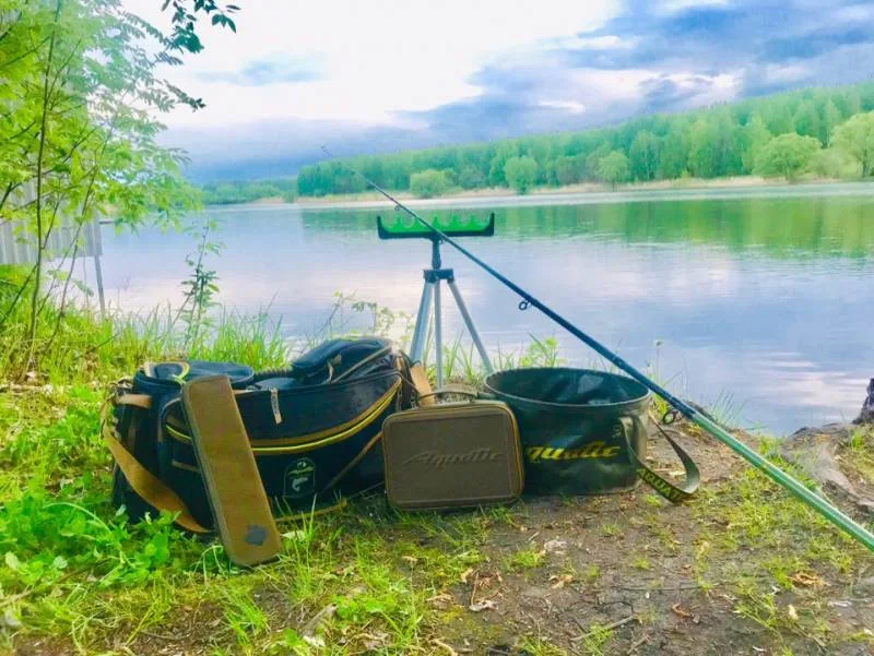 Уклейка, Карась