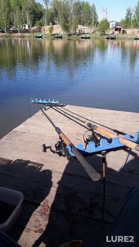 Карп — Московская область, городской округ Солнечногорск, 18 мая 2019 г.