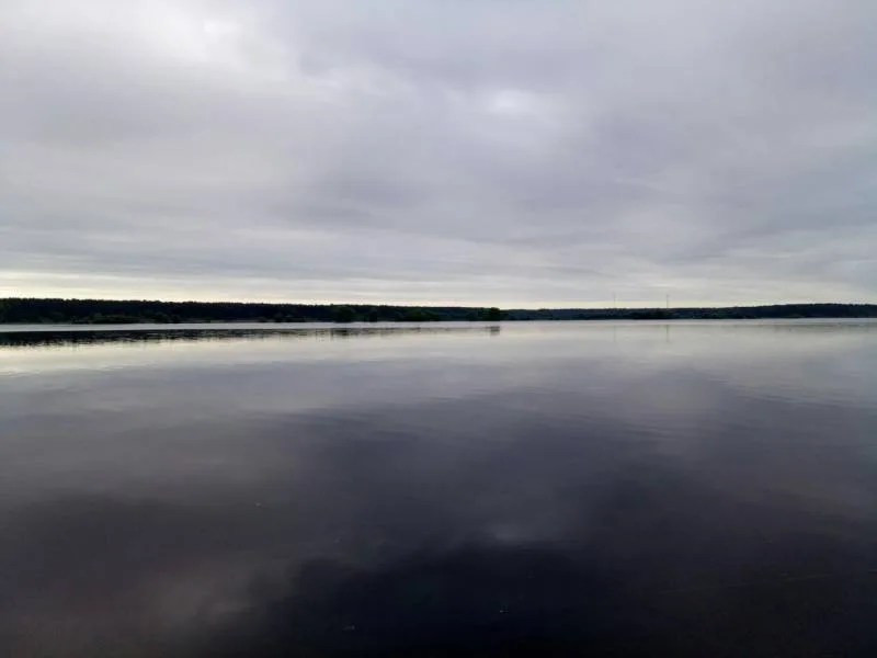 Лещ