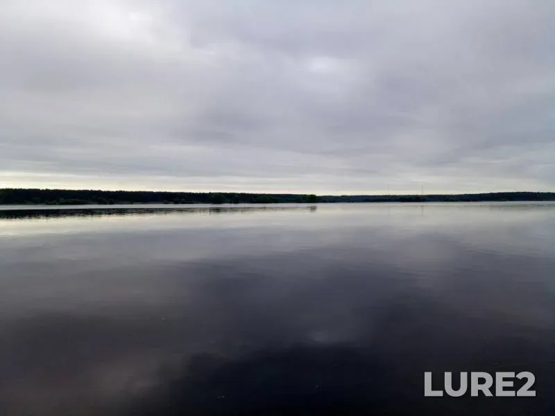 Лещ — Волга, 05 июн. 2019 г.