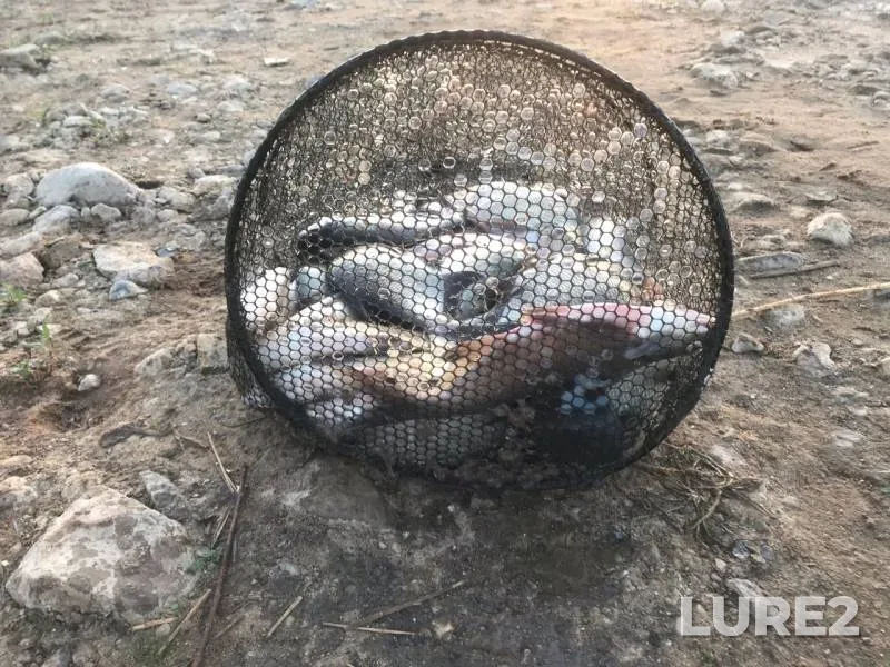 Лещ — Рузское, 24 июн. 2019 г.