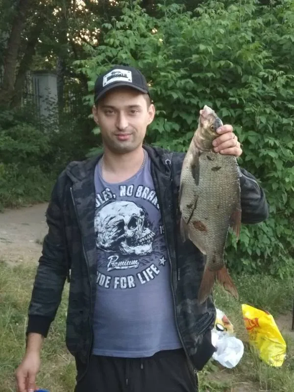 Лещ, Плотва