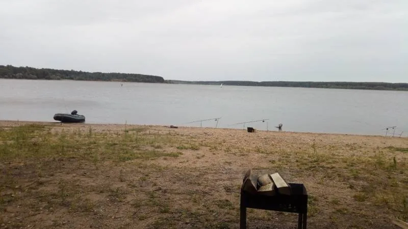 Лещ, Окунь
