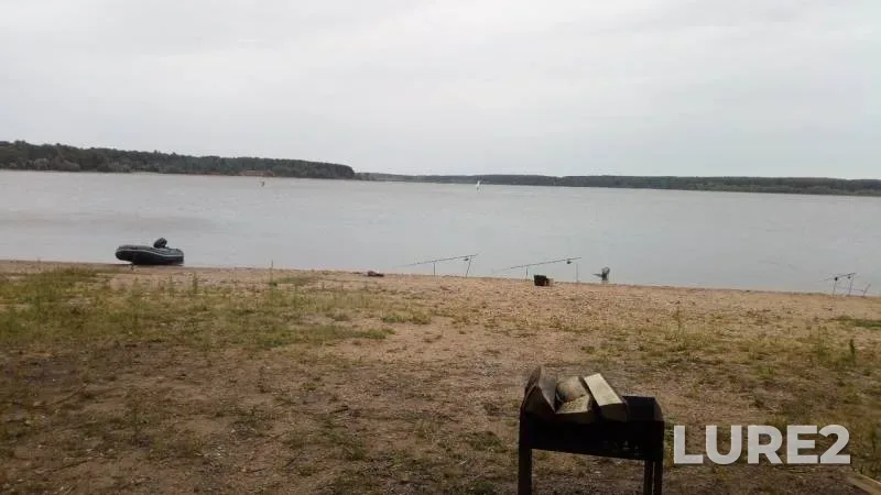 Лещ, Окунь
