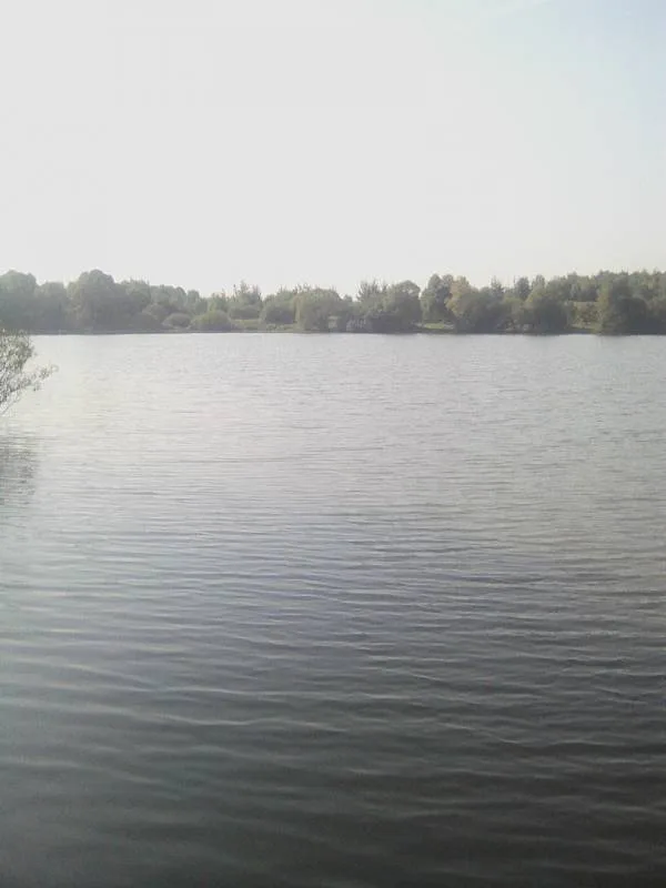 Карась