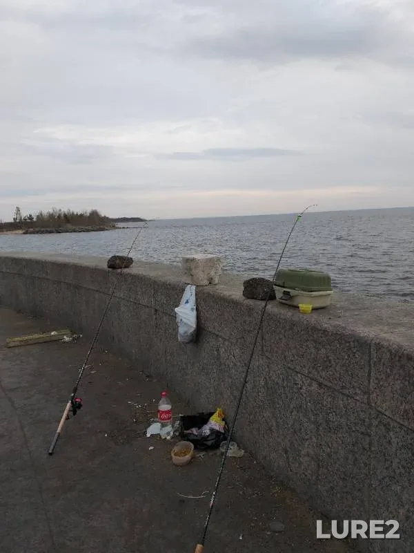 Плотва, Густера — Ленинградская область, 20 апр. 2019 г.