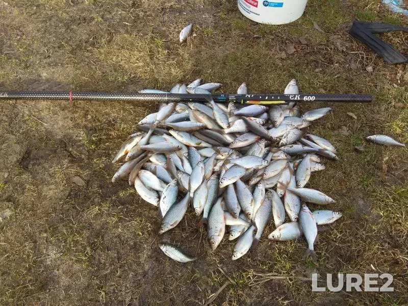 Плотва — Морочь, 24 мар. 2019 г.