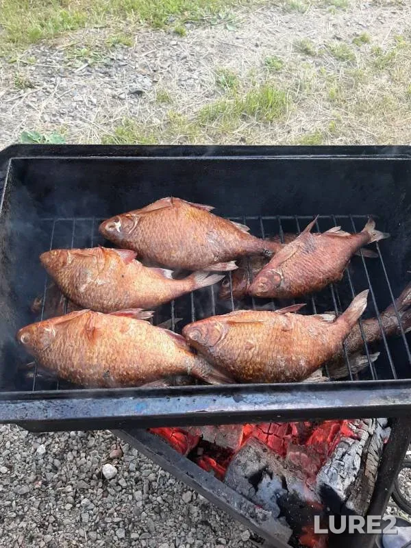 Краснопёрка