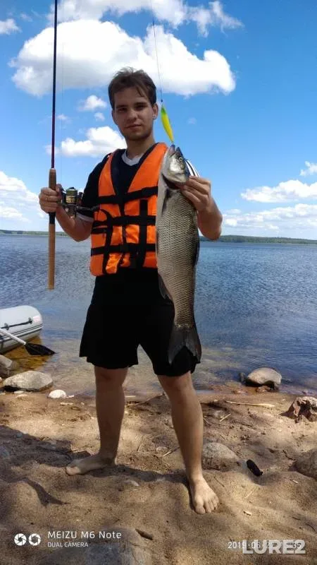 Жерех — Вуокса, 23 июн. 2019 г.