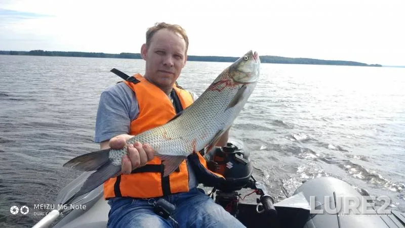Жерех — Вуокса, 22 июн. 2019 г.