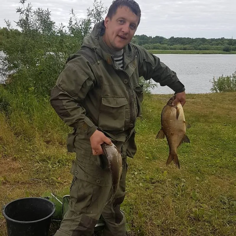 Лещ, Густера