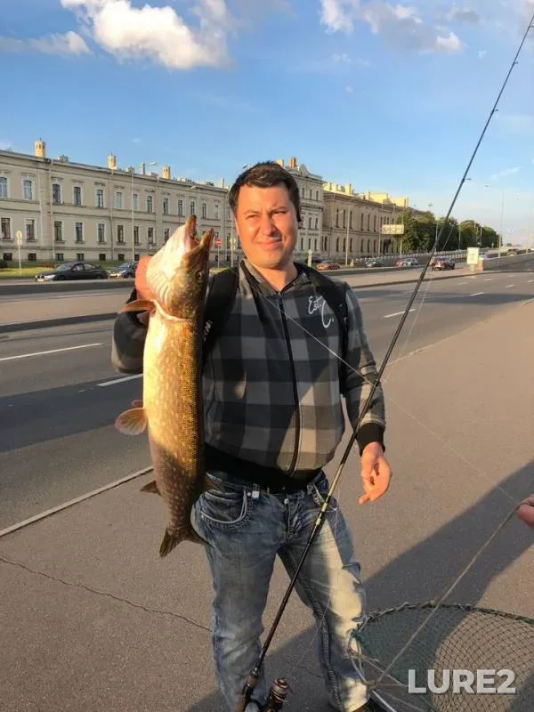 Щука — Нева, 09 июл. 2019 г.