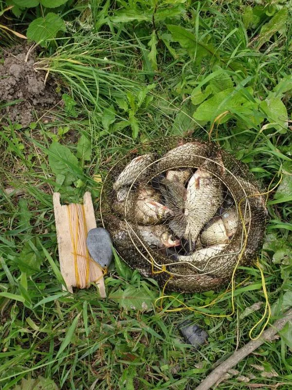 Карась