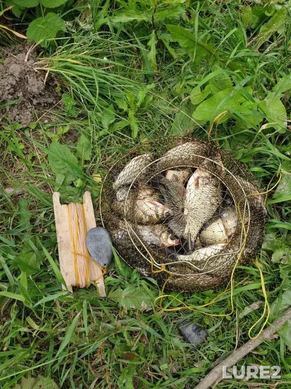 Карась — Нева, 15 июл. 2019 г.