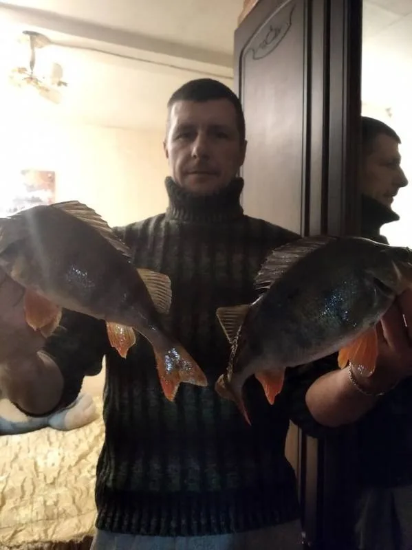 Окунь