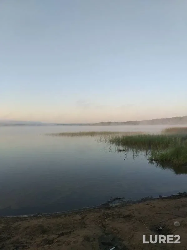 Лещ