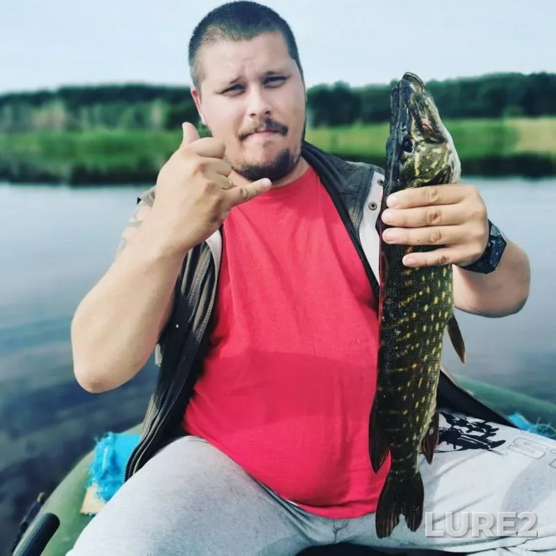 Щука — Волпянка, 17 июл. 2019 г.