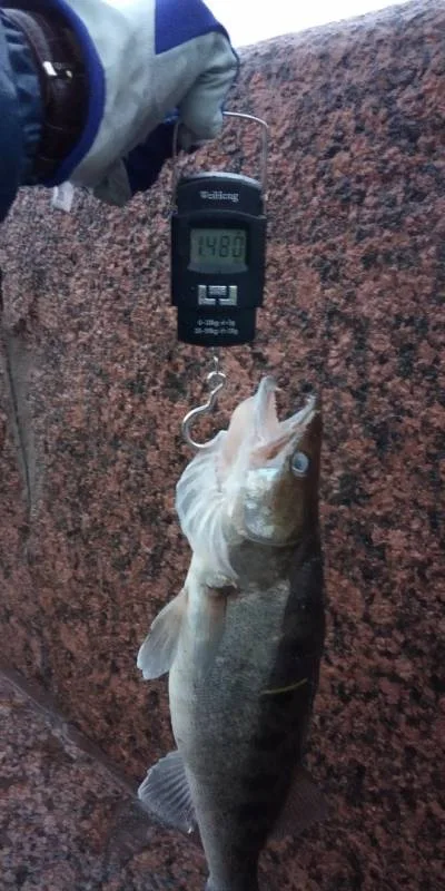 Судак