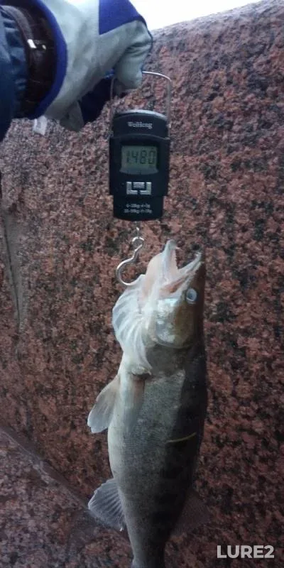 Судак