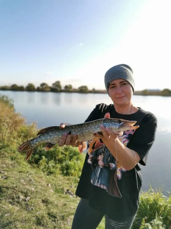 Карась, Щука