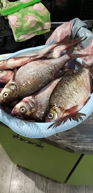 Лещ