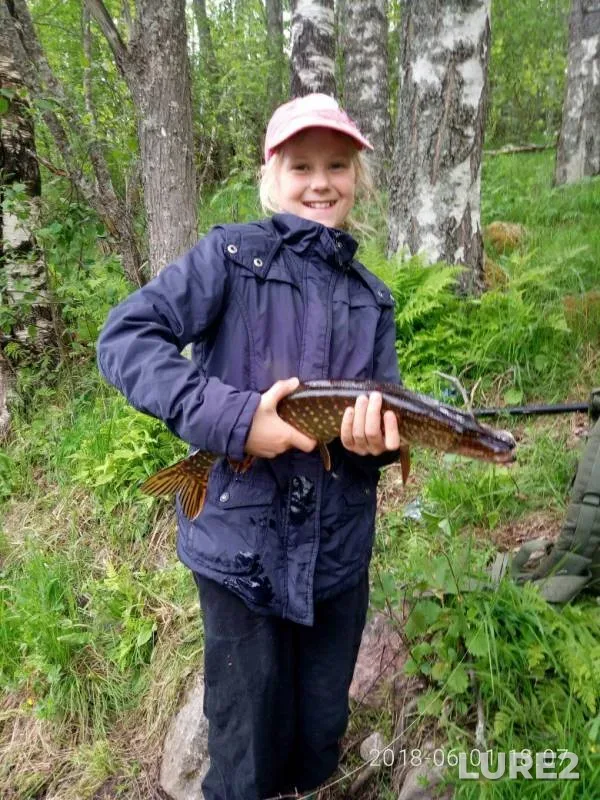 Щука