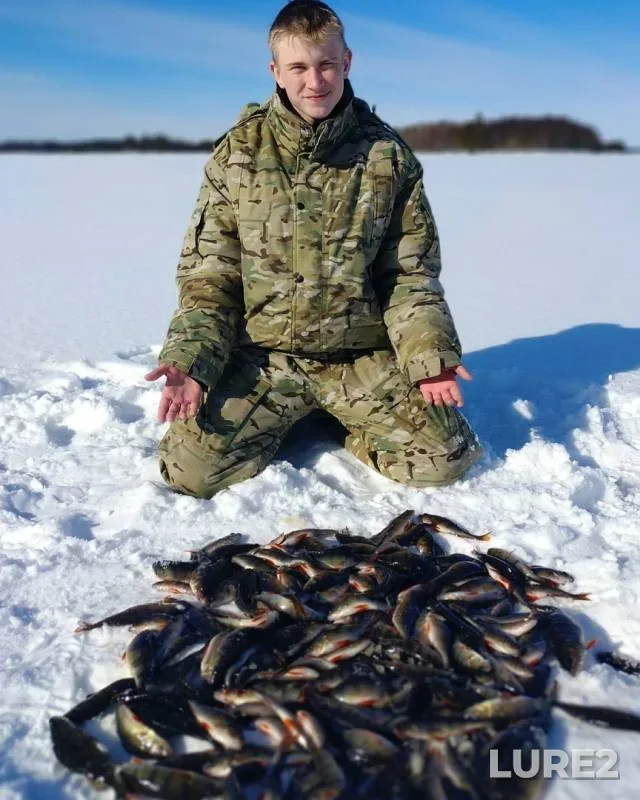 Окунь