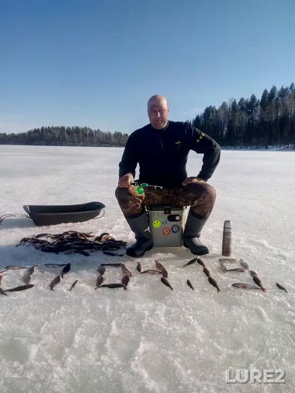 Окунь