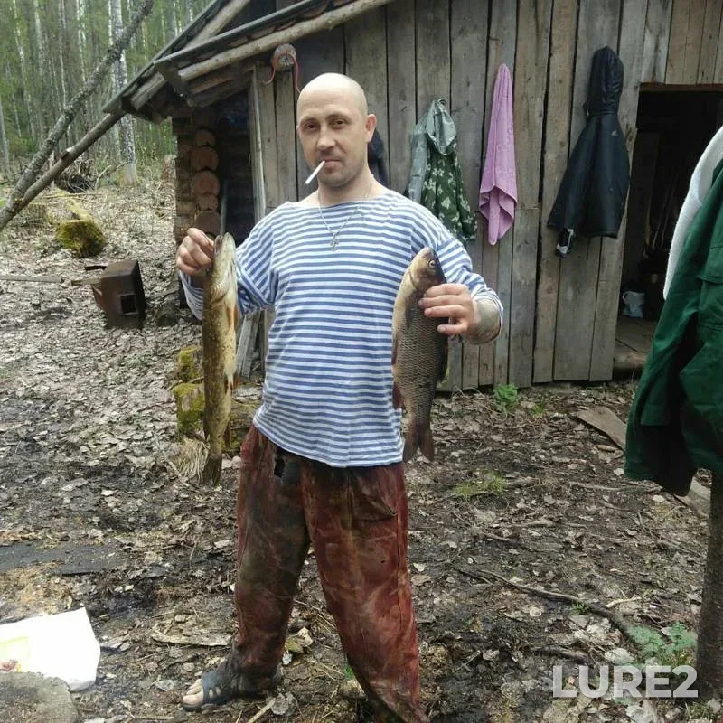 Лещ, Язь