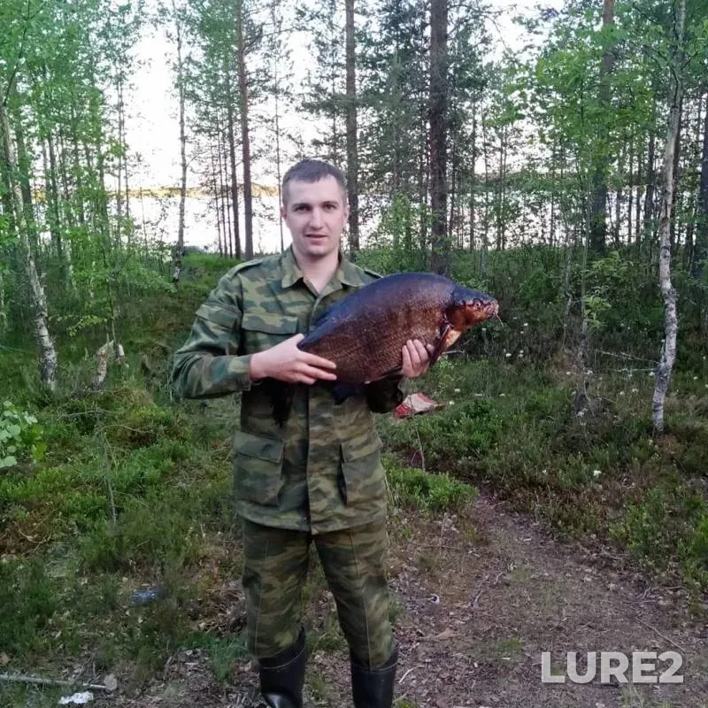 Лещ