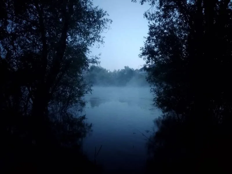 Карась