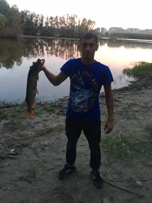 Щука