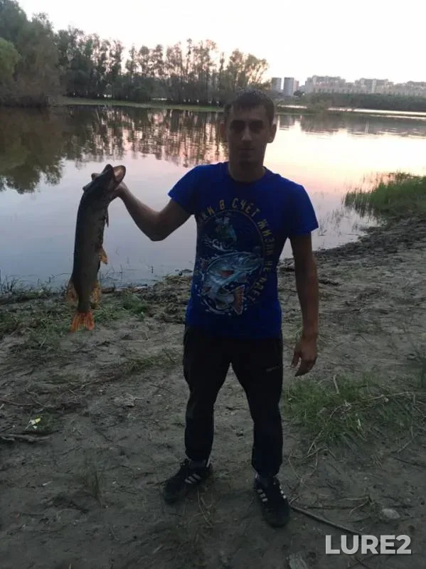 Щука — Иртыш, 19 июл. 2019 г.
