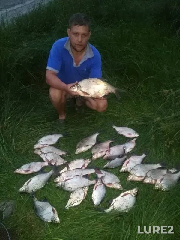 Лещ — Иртыш, 29 июл. 2019 г.
