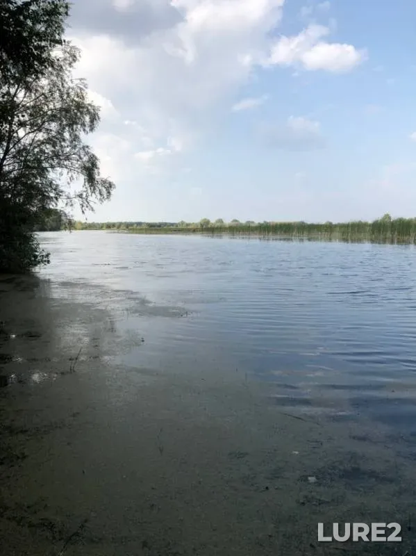 Окунь, Щука — Омская область, Любинский район, 23 авг. 2019 г.