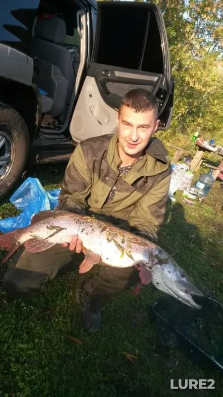 Щука — Иртыш, 16 сент. 2019 г.